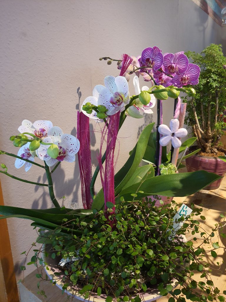 Orchideenschale
